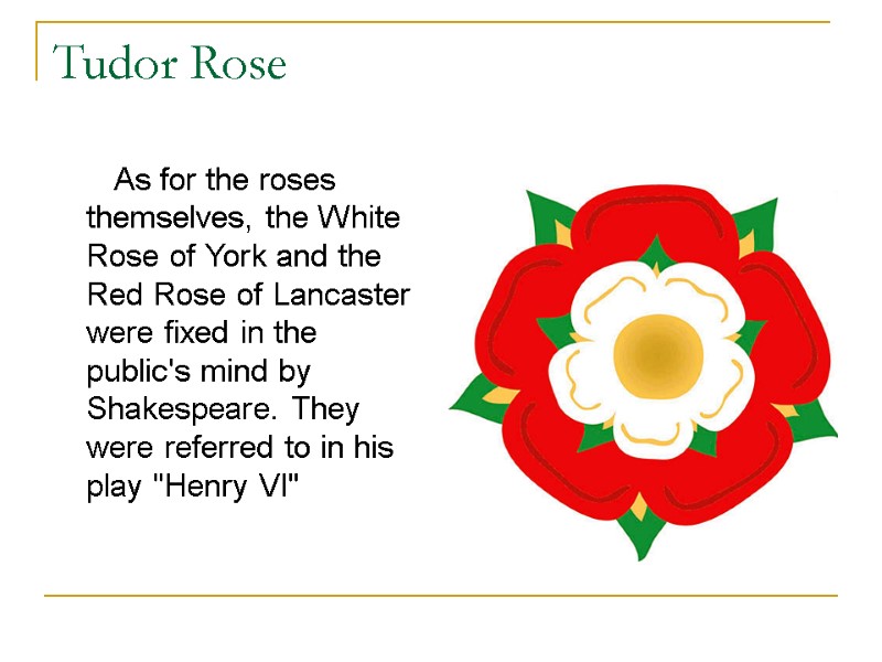Tudor Rose        As for the roses themselves,